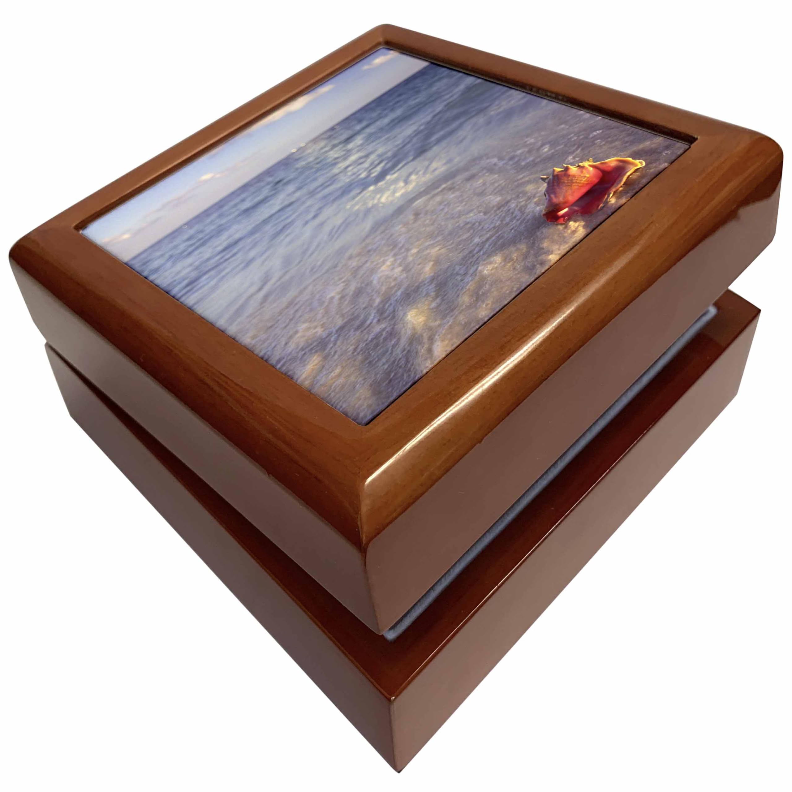 3dRoseConch Shell, Grand Bahama Island, Caribbean-CA05 JDA0000 - Janell Davidson, Jewelry Box jb-69964-1