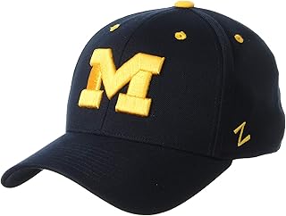 NCAA Mens Stretch Fitted Hat Team Color