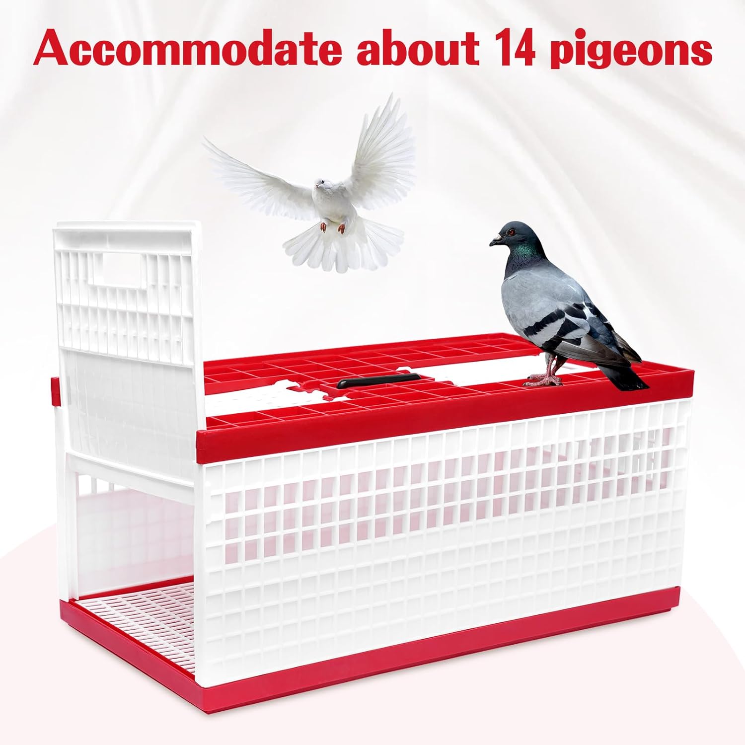 Racing Pigeon Carrier Box, 60 x 31 x 23 Cm Bird Training Basket Folding Pigeon Training Release Cage with 2 Side Doors + 2 Top Department