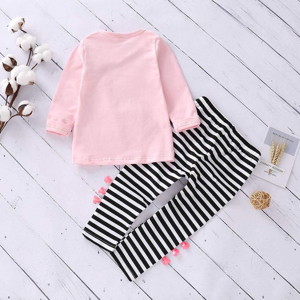 Kids Sweatsuit 2 Piece Zip Up Tracksuit Fall Outfits Comfort Hoodie Pullover Sweatshirt And Sweatpant Sets