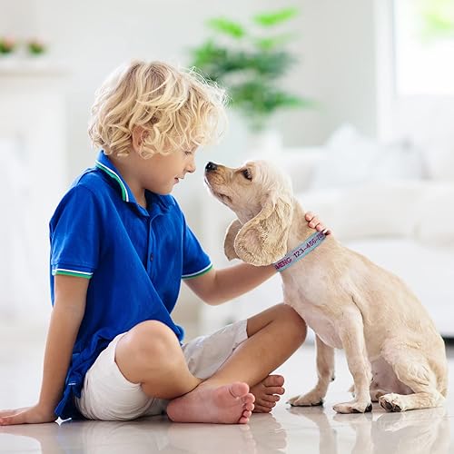 Miniatura 3 de Collar reflectante personalizado para perro, bordado personalizado con nombre de mascota y número de teléfono para perros machos y hembras, 4