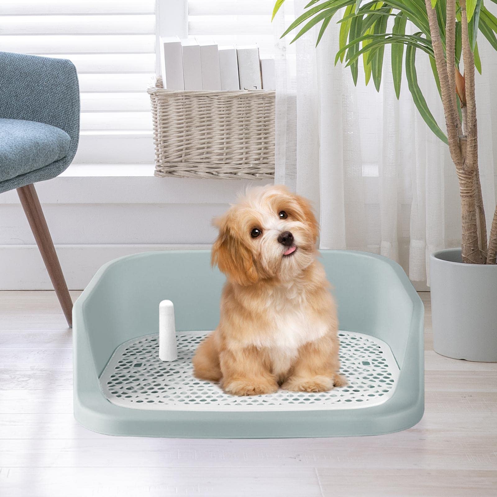 Bac à Litière pour Chiots, Outil de Nettoyage, Propreté, Bleu Blanc