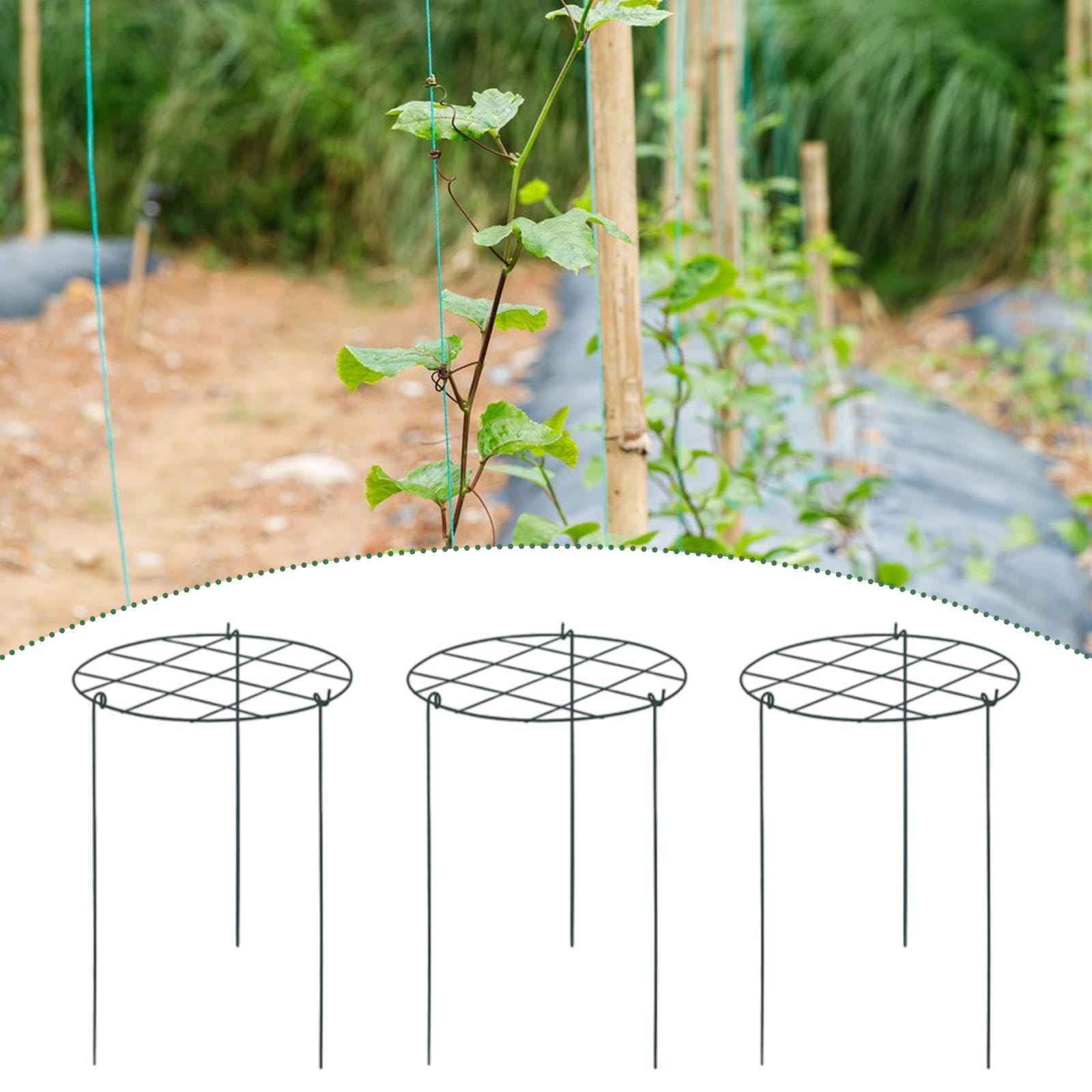 Lot de 3 Cages et Supports pour Pivoines, Tuteurs en Métal pour Plantes de Jardin, Pratiques pour La Croissance des Plantes D'extérieur et, Grille