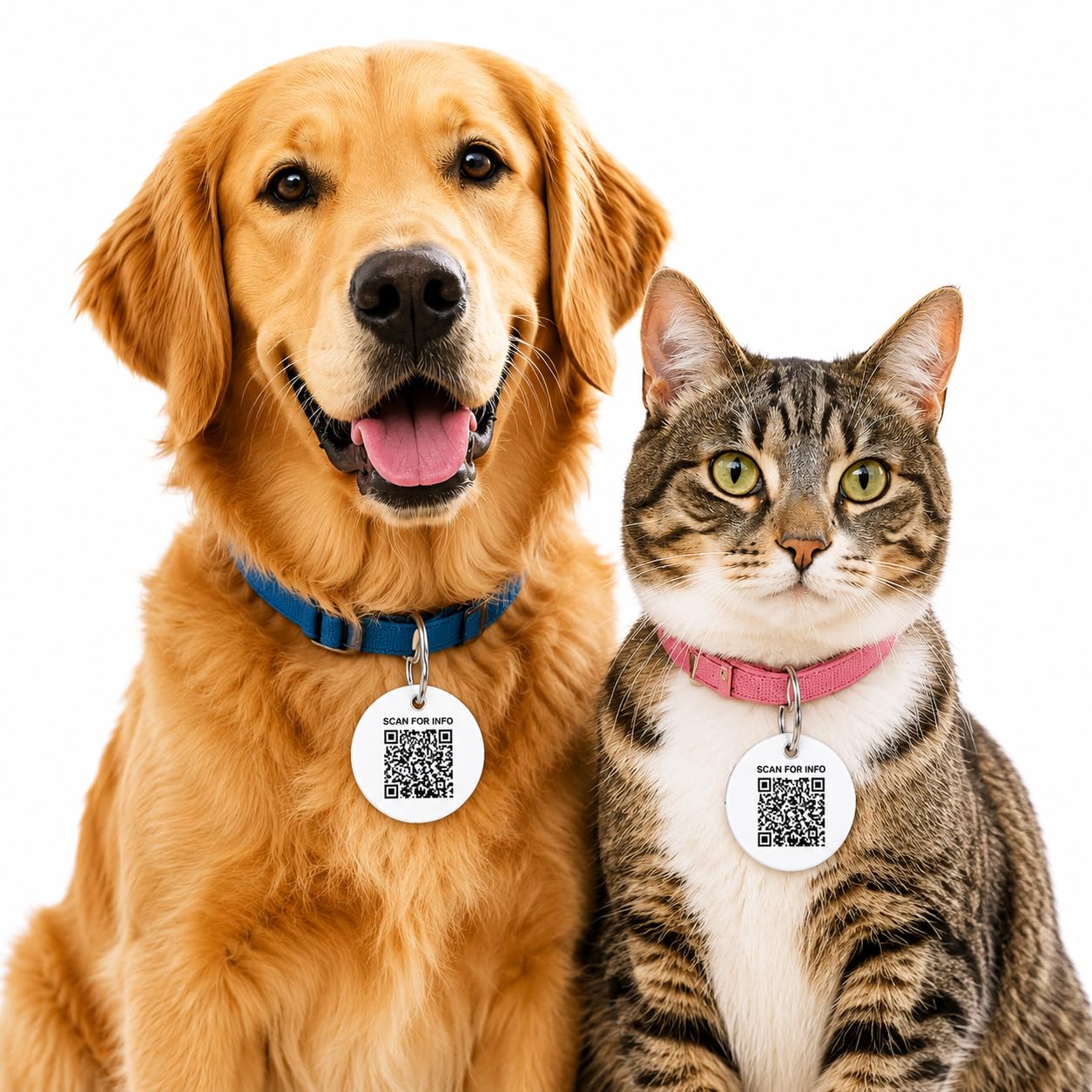 4-in-1 Probiotic Gut Health Chews for Dogs | 60 Chews + Free QR Dog Tag — Amazon image 11