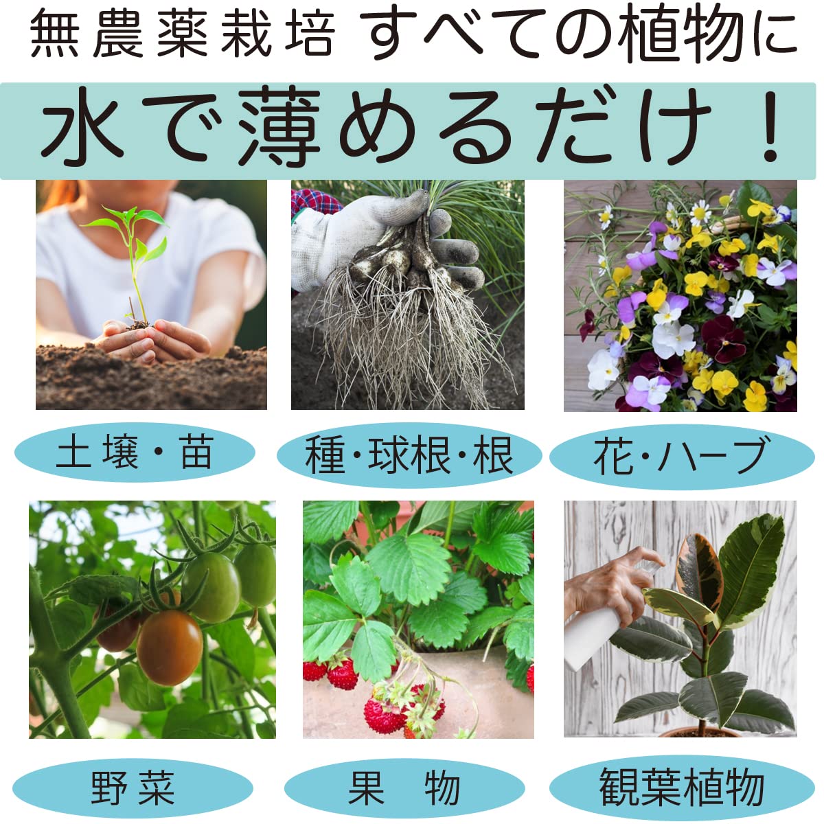 ヨッテコン 植物活性剤 天然成分で安心 送料無料 ニームエキス 虫除け ニームオイル インドセンダン 虫が寄りにくい植物を作る
