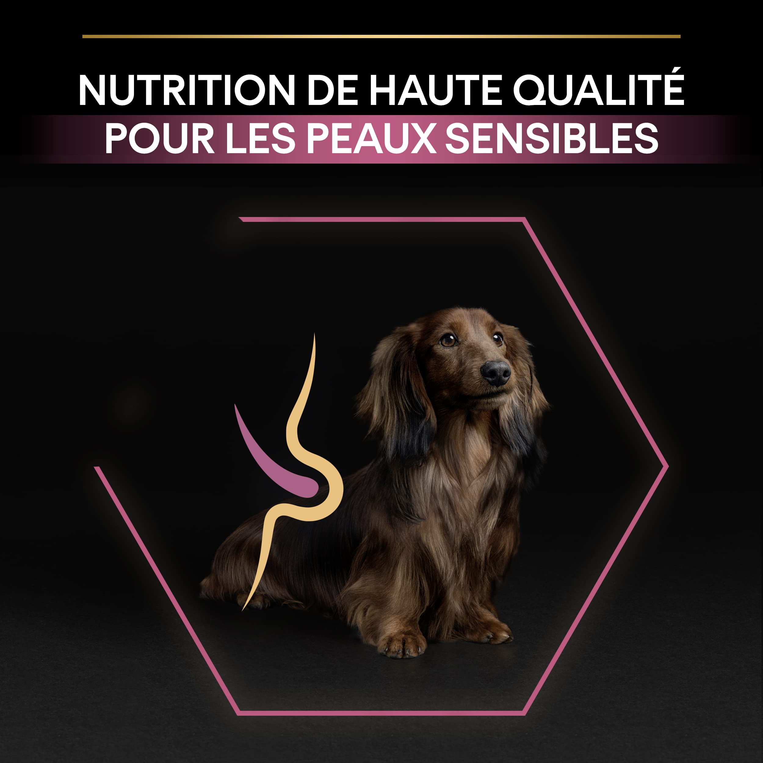 PURINA PRO PLAN | Sensitive Skin | Croquettes complètes pour chien de petite taille | Favorise une peau saine et un pelage brillant | Au Saumon | Croquettes | Sac | 7 Kg