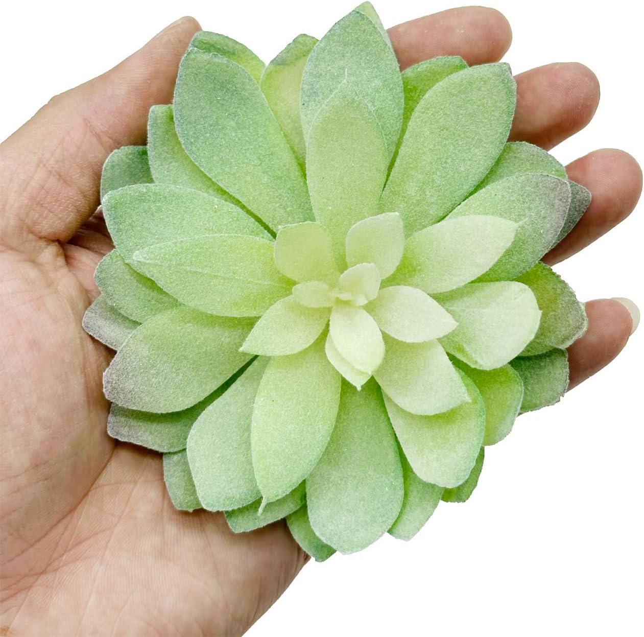 Woohome 8 PCS Fake Succulent, Artificial Succulents Assorted Faux Succulents Fake Succulents Picks for Decorative Garden Arrangement Decor - Image 5