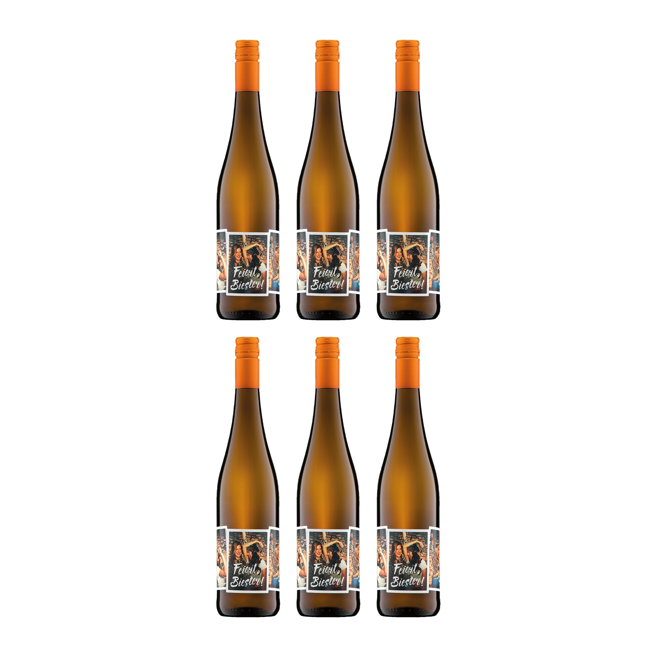 Lorenz & Söhne Feiert, Biester! Qualitätswein trocken Weisswein Deutschland inkl. FeinWert E-Book (6 x 0.75 l)