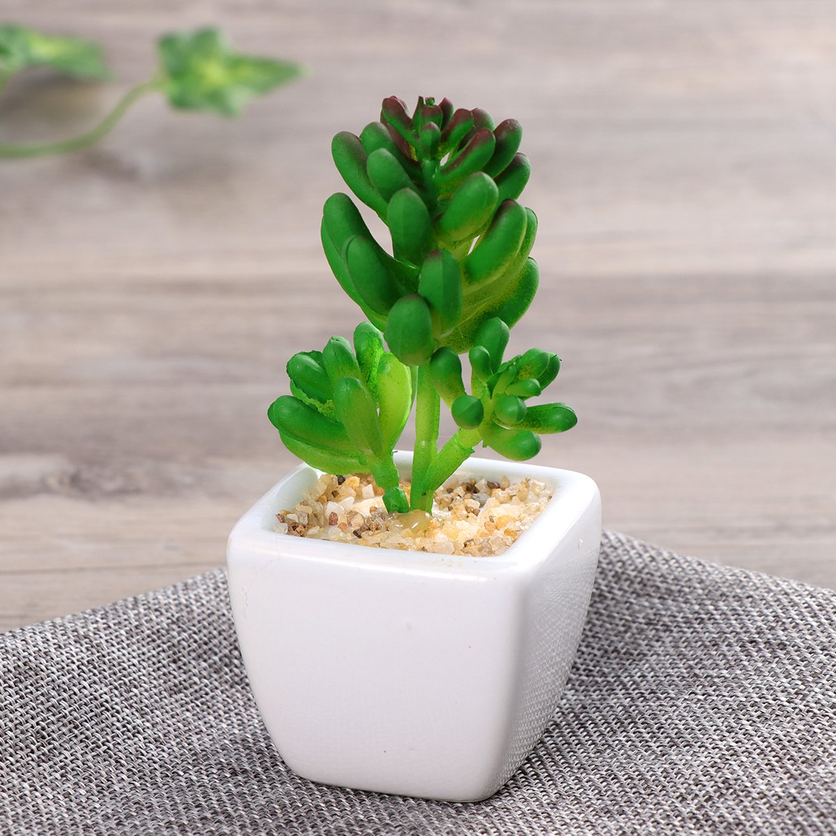 Winomo Lot de 4 plantes grasses artificielles avec pot en céramique blanche
