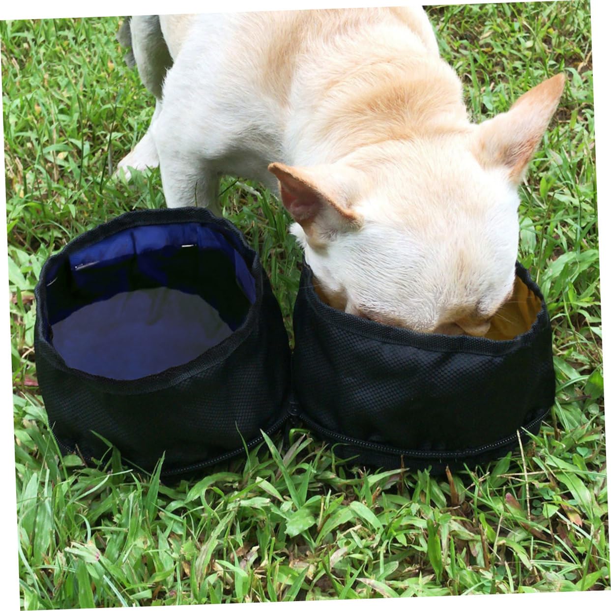 YARNOW 2 Pz Ciotole Doppie Per Animali Domestici Ciotole Impermeabili Per Cani Pieghevoli Per Animali Domestici Tazza Espandibile Pieghevole Viaggiare Prodotti Per i Piega