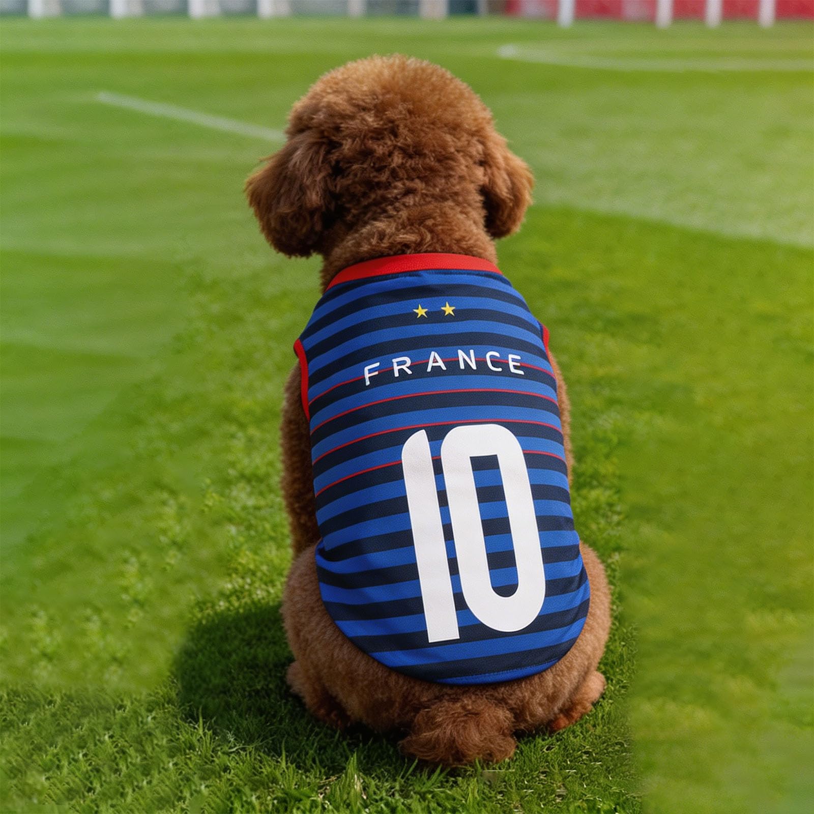 Générique Maillot de Foot sans Manches pour Chien,T-Shirt pour Chien- Maillot pour Animal de Compagnie, Tailles S à 5XL, pour Votre Compagnon à Quatre Pattes