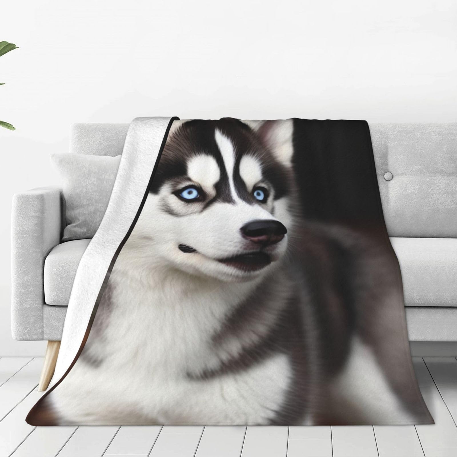 KLOPH Cute Husky Dog Throw Blanket 40"x30" Flannel Fluffy Warm Blanket for Couch, Reversible Plush Blankets for Bed, Comfy Fuzzy Blanket for Sofa, Plush Lightweight-Blankets for All Season