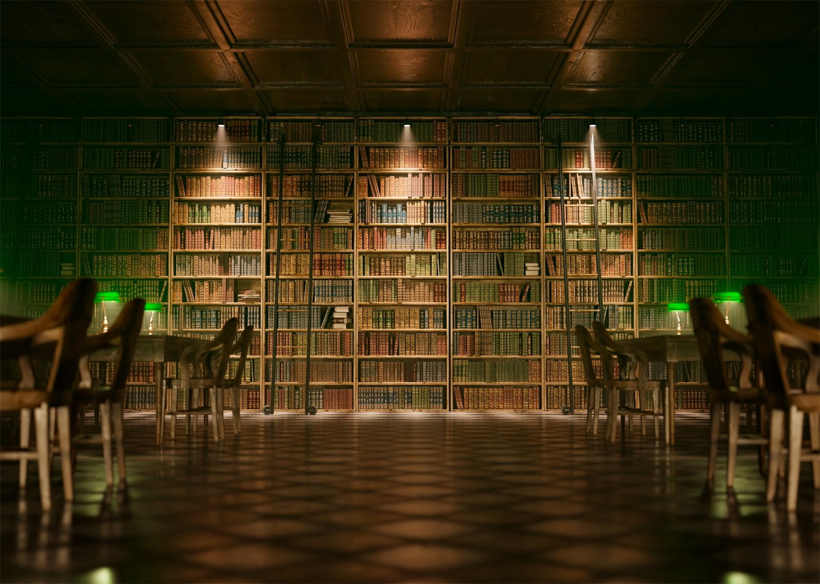 10x6.5FT (3x2m) Grande Biblioteca Scura Con Scaffali Sfondo Fotografico