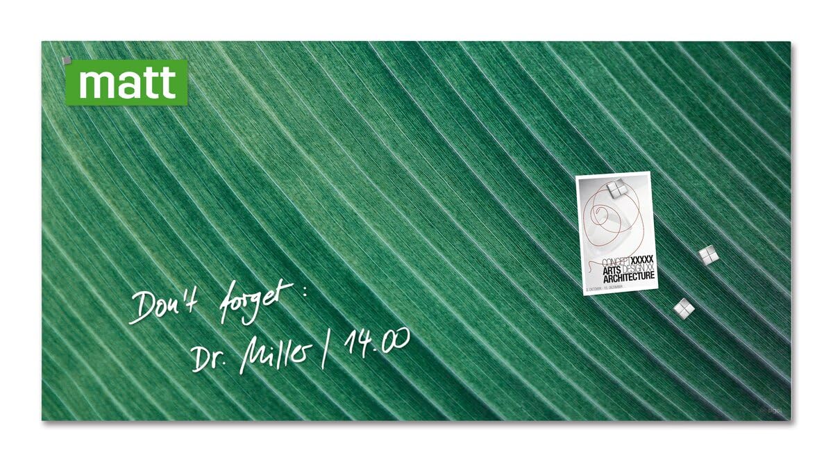 SIGEL GL371 Artverum Magnetic Glass Board, palm leaf Green, 91 x 46 cm, safety Glass