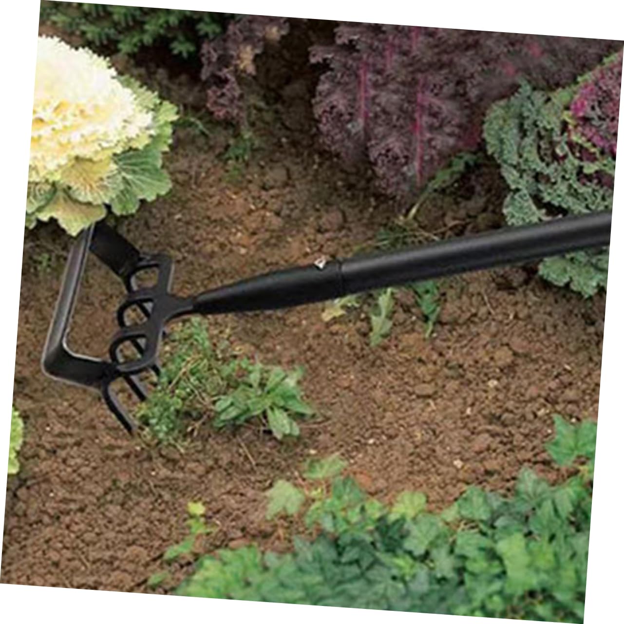 Houe à Étrier de Désherbage en Acier Inoxydable Noir | Outil de Jardinage pour Creuser, Râteau de Jardinage Compact, Usage Jardinage Desherbage