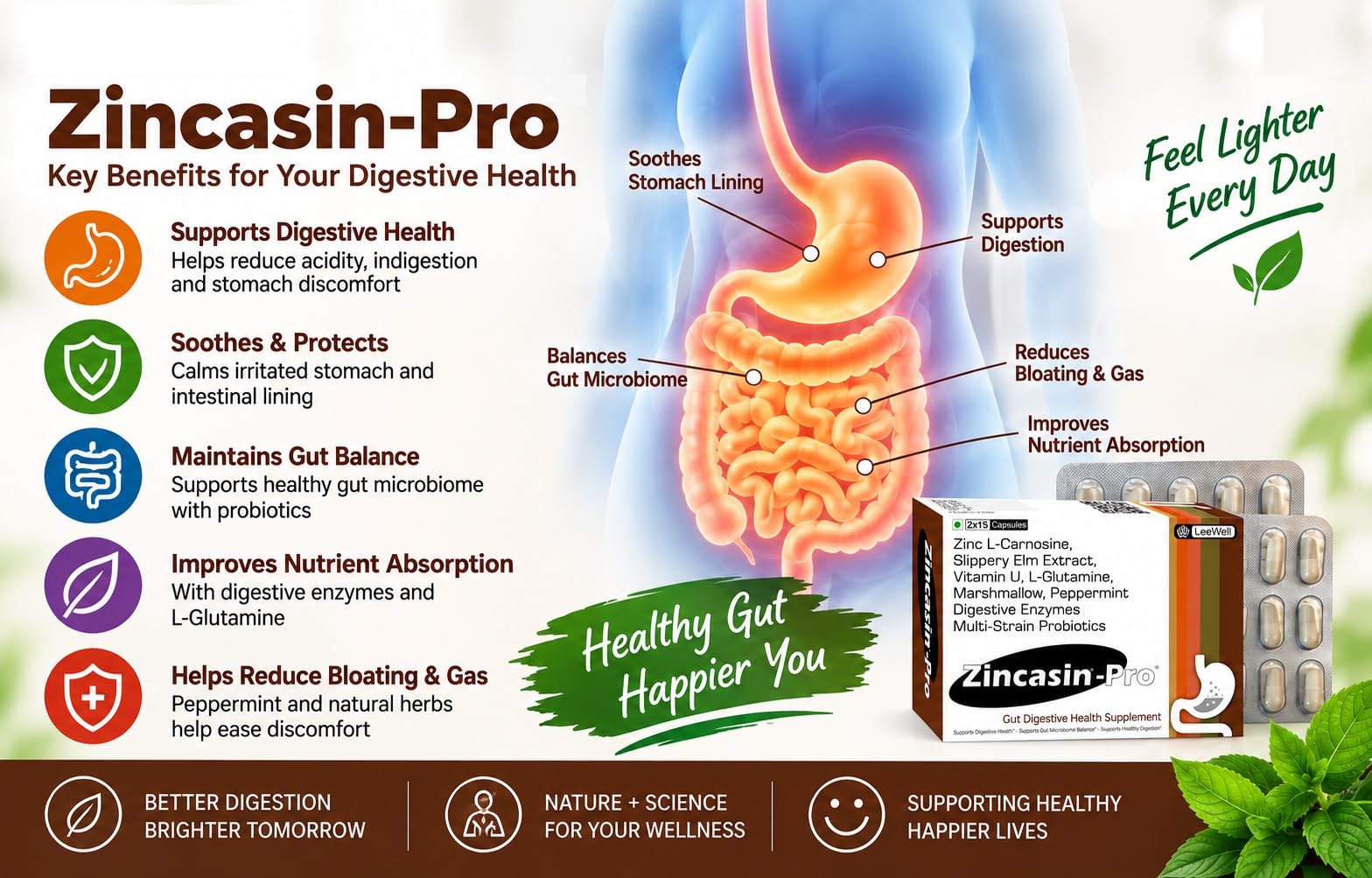 Zincasin-Pro Digestive Enzyme Capsules with Probiotics, Zinc Carnosine & L-Glutamine | Slippery Elm, Aloe Vera & Vitamin U | Digestion & Gut Health Support - 30 Capsules (by LeeWell) — Amazon image 4