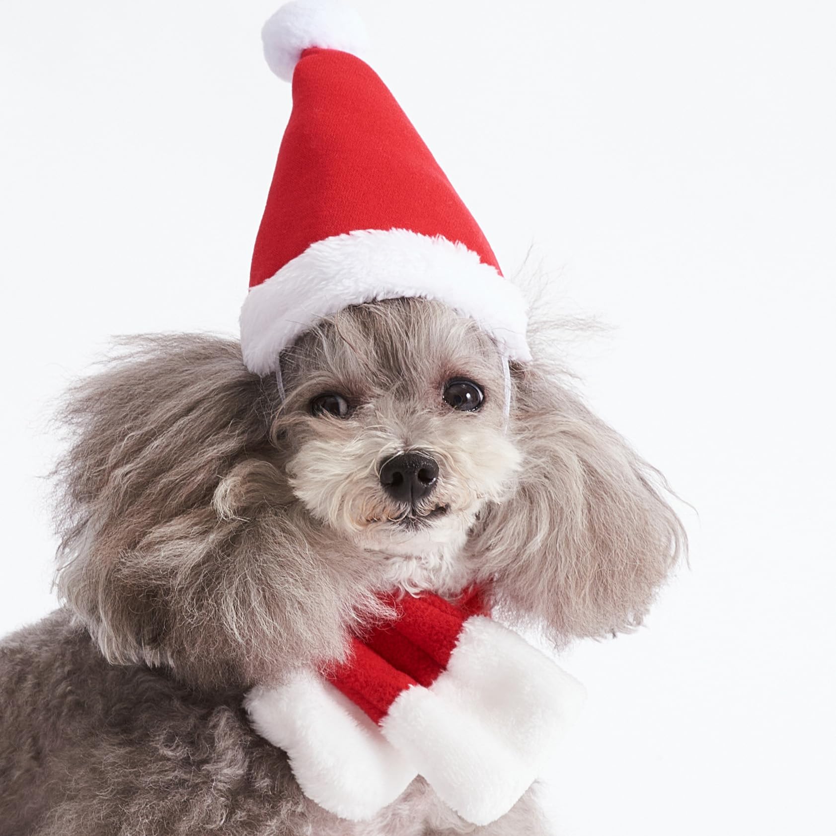 2PCS Pet Cat Christmas Costume Outfit Dog Cat Christmas Hat Scarf Outfit Cloak Santa Scarf Hat for Puppy Dog Cat Xmas Party Costume Dress Up Clothes (S)