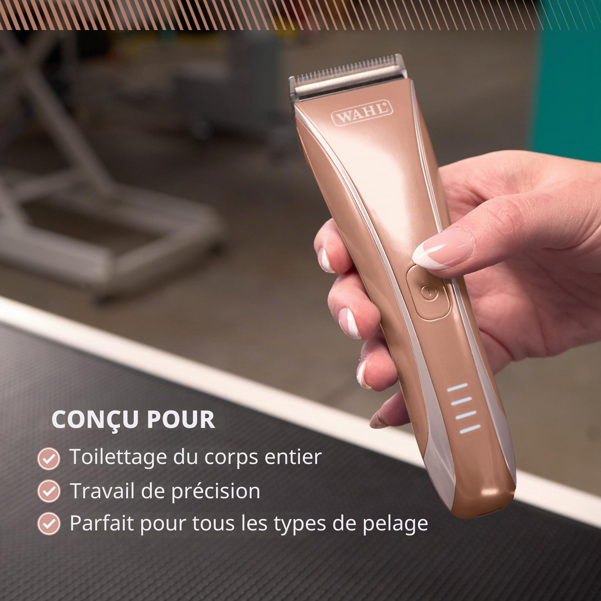 Wahl Motiva2, Tondeuse Sans Fil pour Animaux, Lame 5-en-1, Petite Orchid | Tondeuse pour Animaux, Lame 5-en-1, Écran Numérique, jusqu'à 3 Heures d'Autonomie, Filaire et Sans Fil, Verrou de Voyage