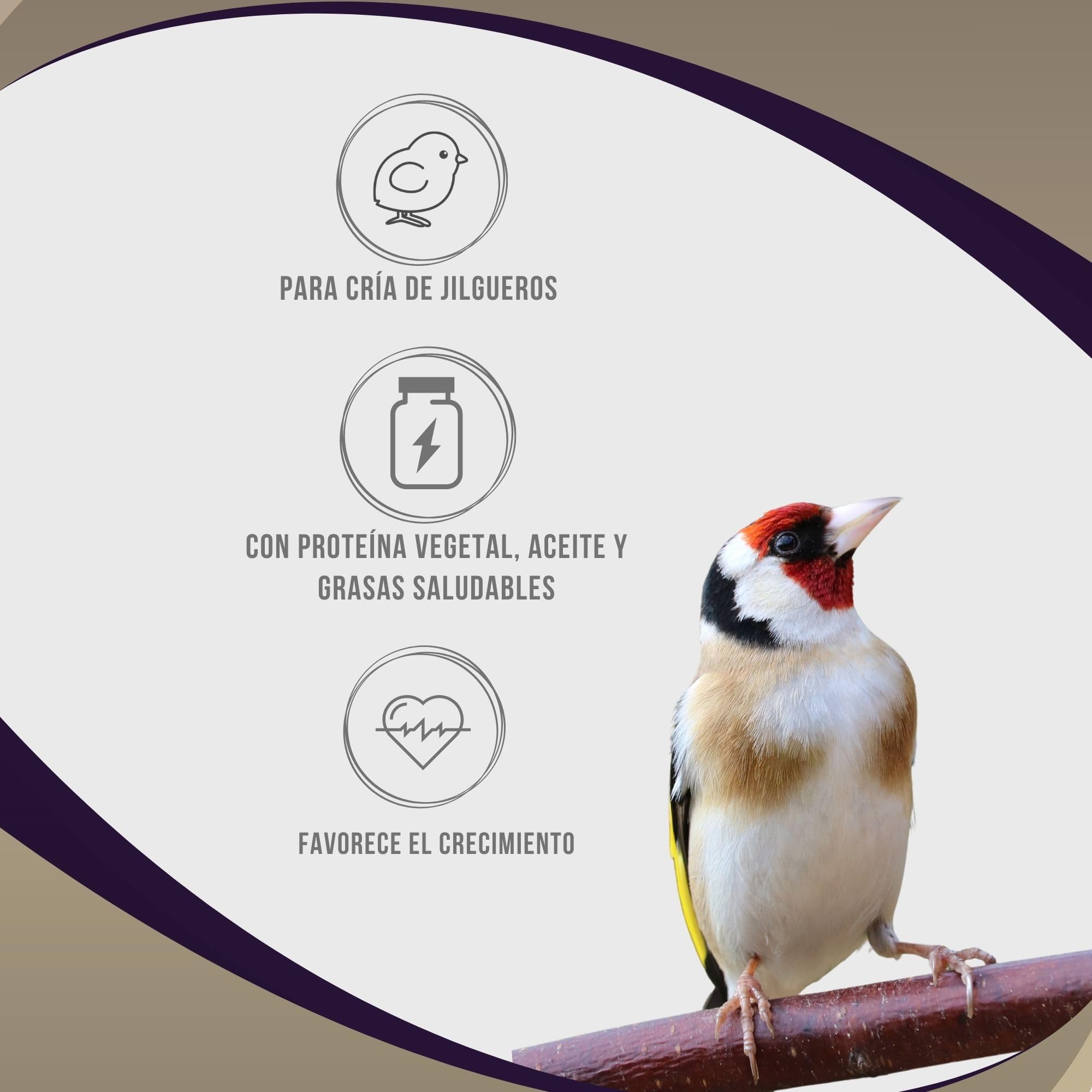 Aviantecnic Papilla Embuche Jilgueros | Alimento Complementario para Pájaros Ornamentales | 400 g con Jeringa de Embuche Incluida