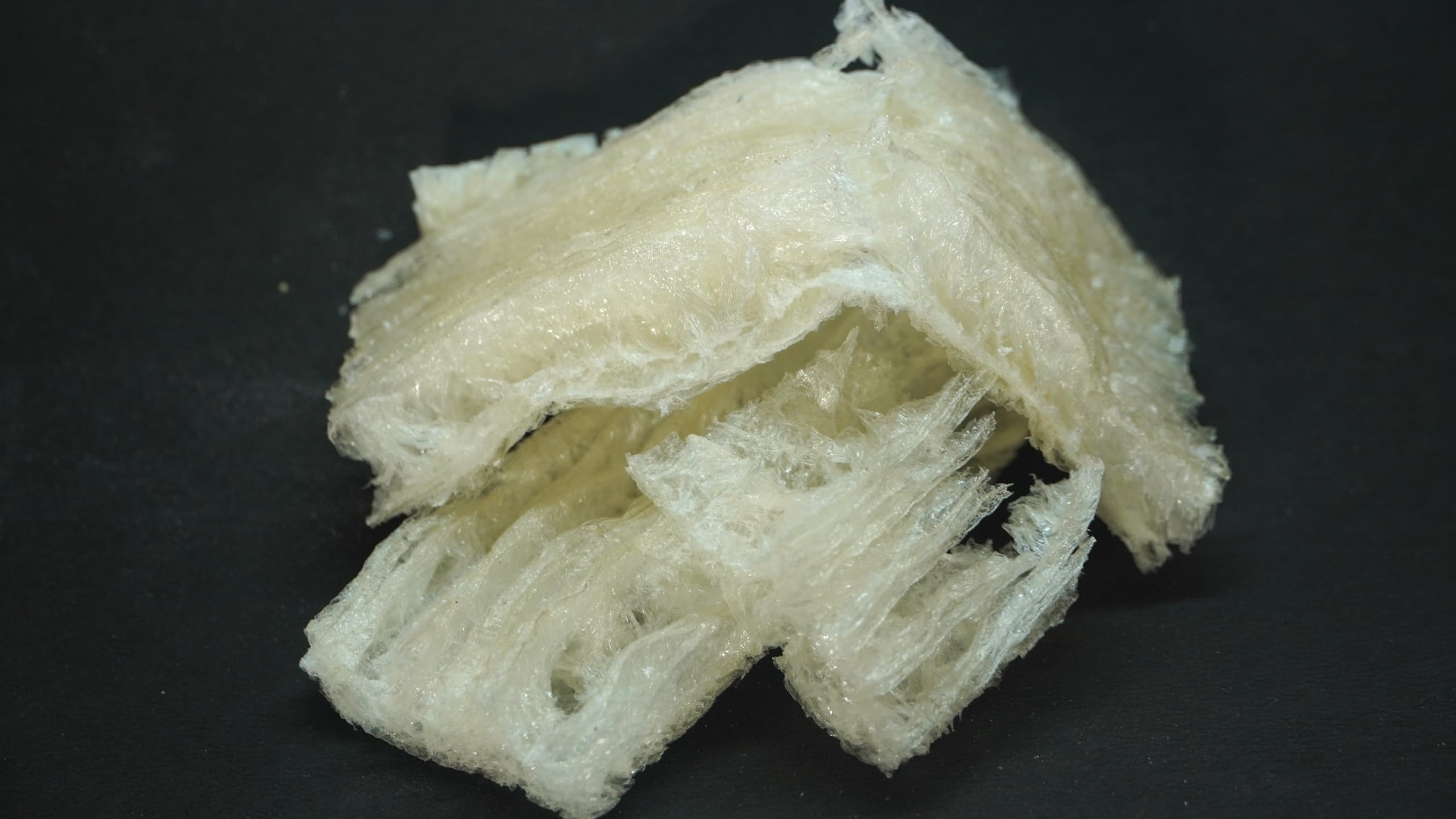 THOGAI’S-*KADAL PAASI* - CHINA GRASS / கடல் பாசி / Junnu Gaddi/Kanten (50 GRAMS (PACK OF 1))