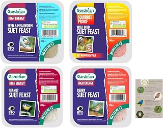 Suet Blocks Wild Bird Food - 4 Pack Westland Suet Feasts inc Seed & Mealworm, Peanut, Squirrel Proof Hot Pepper & Berry | CHG Tips Sheet | High Energy Natural Wild Bird Treat for Table Ground