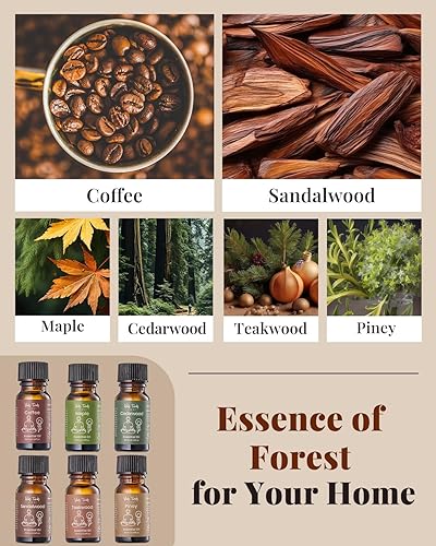 Miniatura 4 de VTS - Difusor sin agua con aroma a madera, juego de regalo de aceites esenciales, mezclas de aceites de aromaterapia para difusores para el hogar, 6