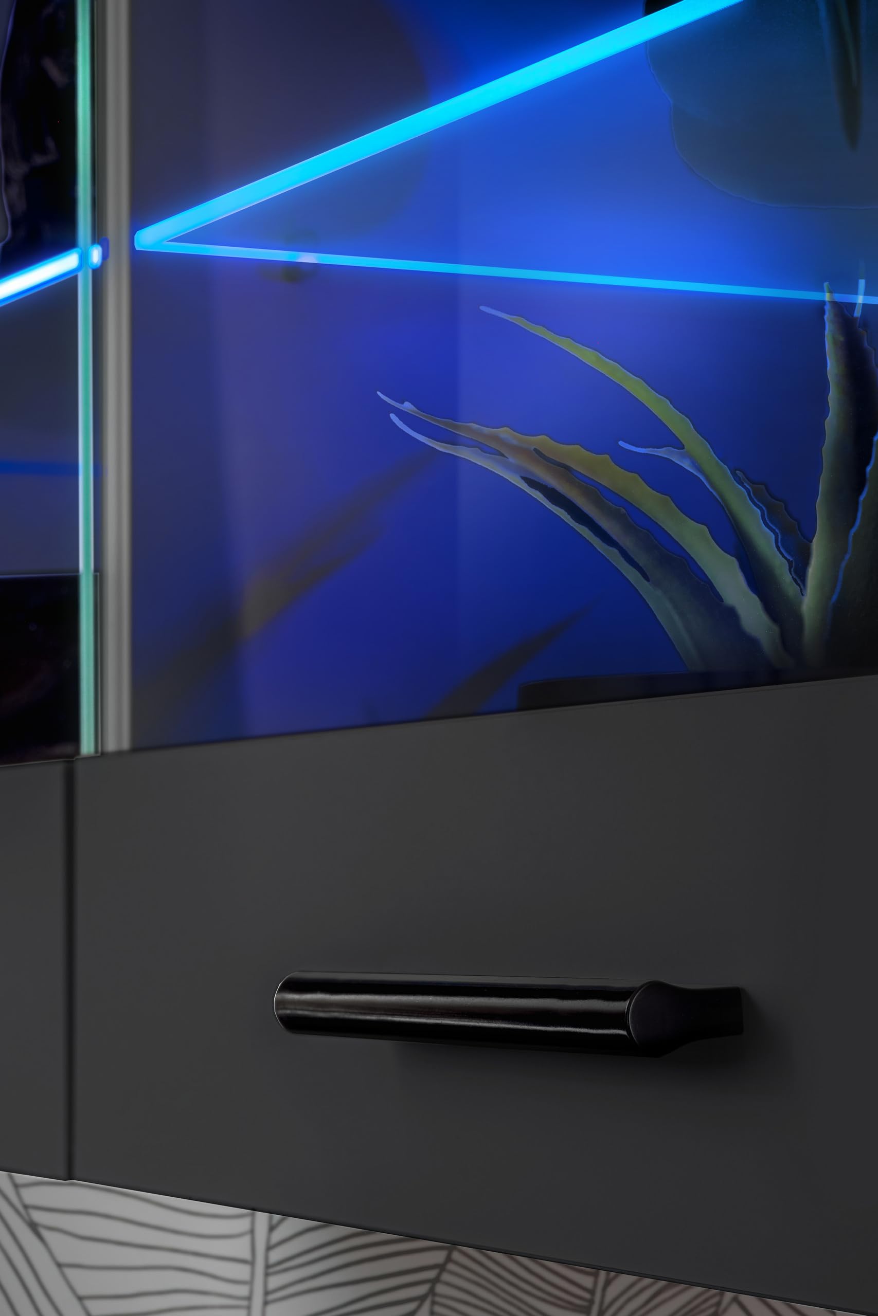 Komodee Vitrine Savona A2 Schwarz/Schwarz 100x50x30 cm