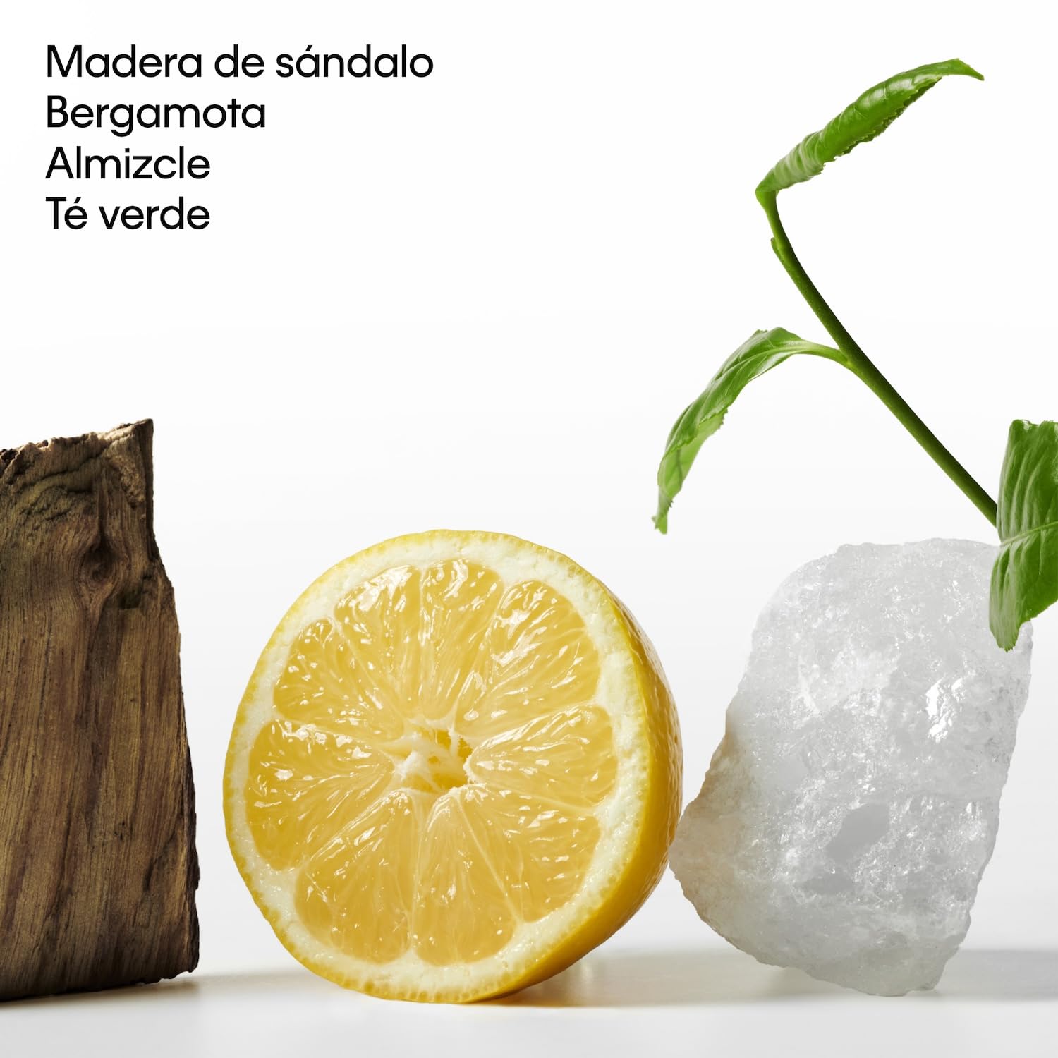 Calvin Klein CK One Essence Parfum Intense | Perfume intenso, cítrico y amaderado con bergamota, naranja sanguina, té verde y sándalo, fragancia unisex fresca y duradera.