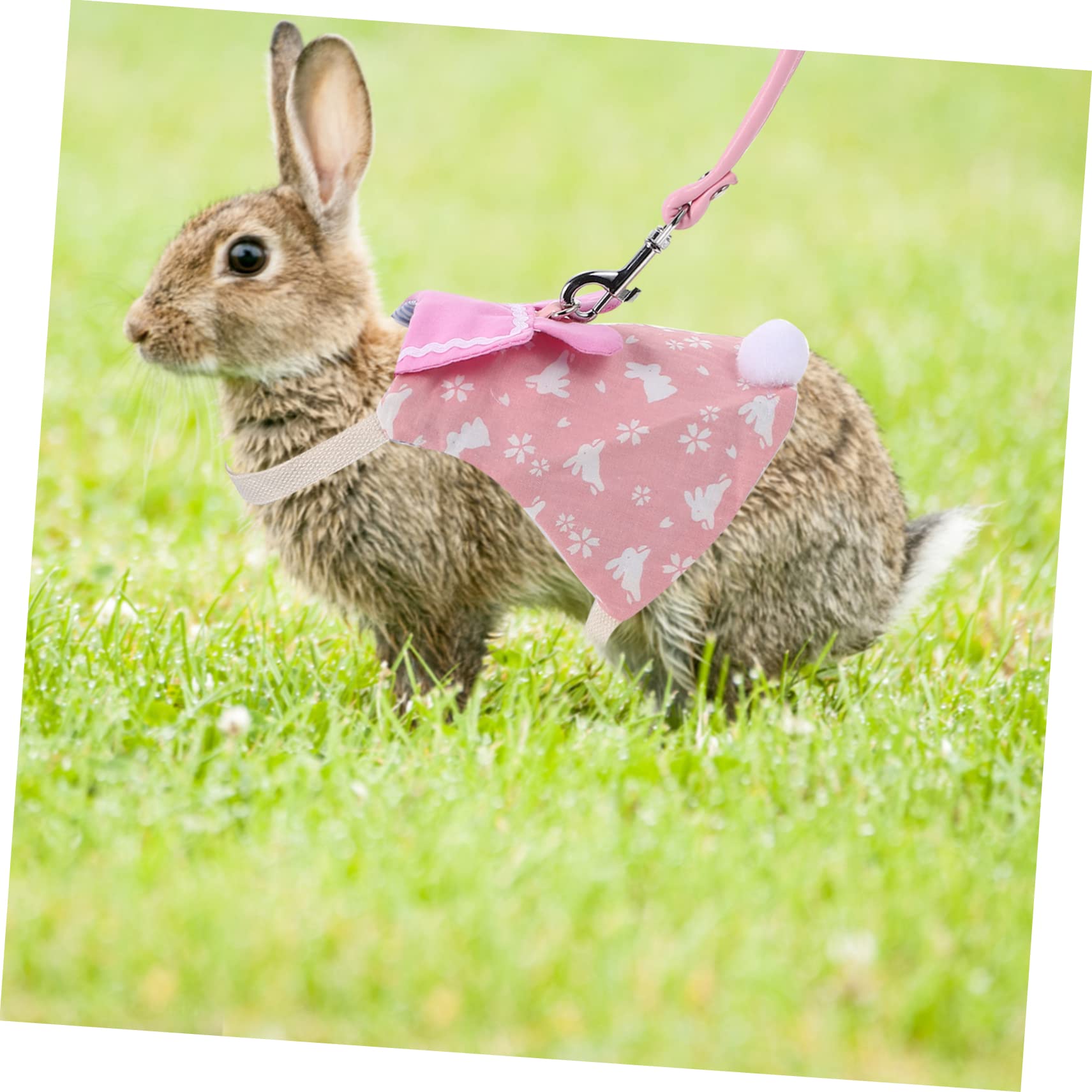 BESPORTBLE 4sätze Bunny Kit Für Haustiere Süßes Und Atmungsaktives Kaninchengeschirr Mit Leine Für Kleine Haustiere Wie Zwergkaninchen Und Andere Kleintiere