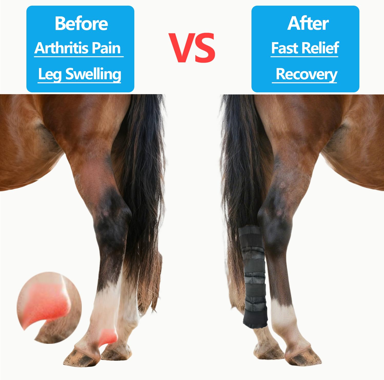 Botas de hielo para caballos, juego de 2, envolturas de enfriamiento para lesiones de caballo, envolturas de hielo equino para patas de caballo, rodillas, corvejones, reutilizables, botas de hielo de