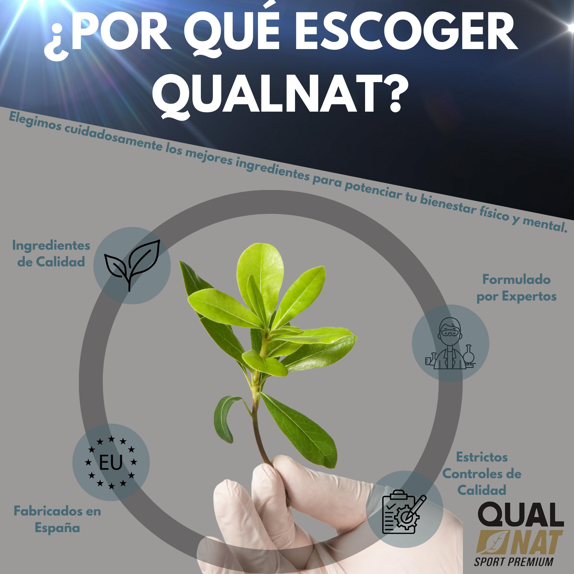 QUALNAT Testosterona Pura Maca + Zinc 240 Comprimidos para Aumentar Masa Muscular y Energía