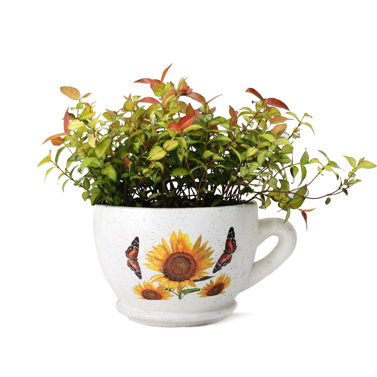 Fashionstorm Ceramic Wall Planter Hanging Plant Pot Container