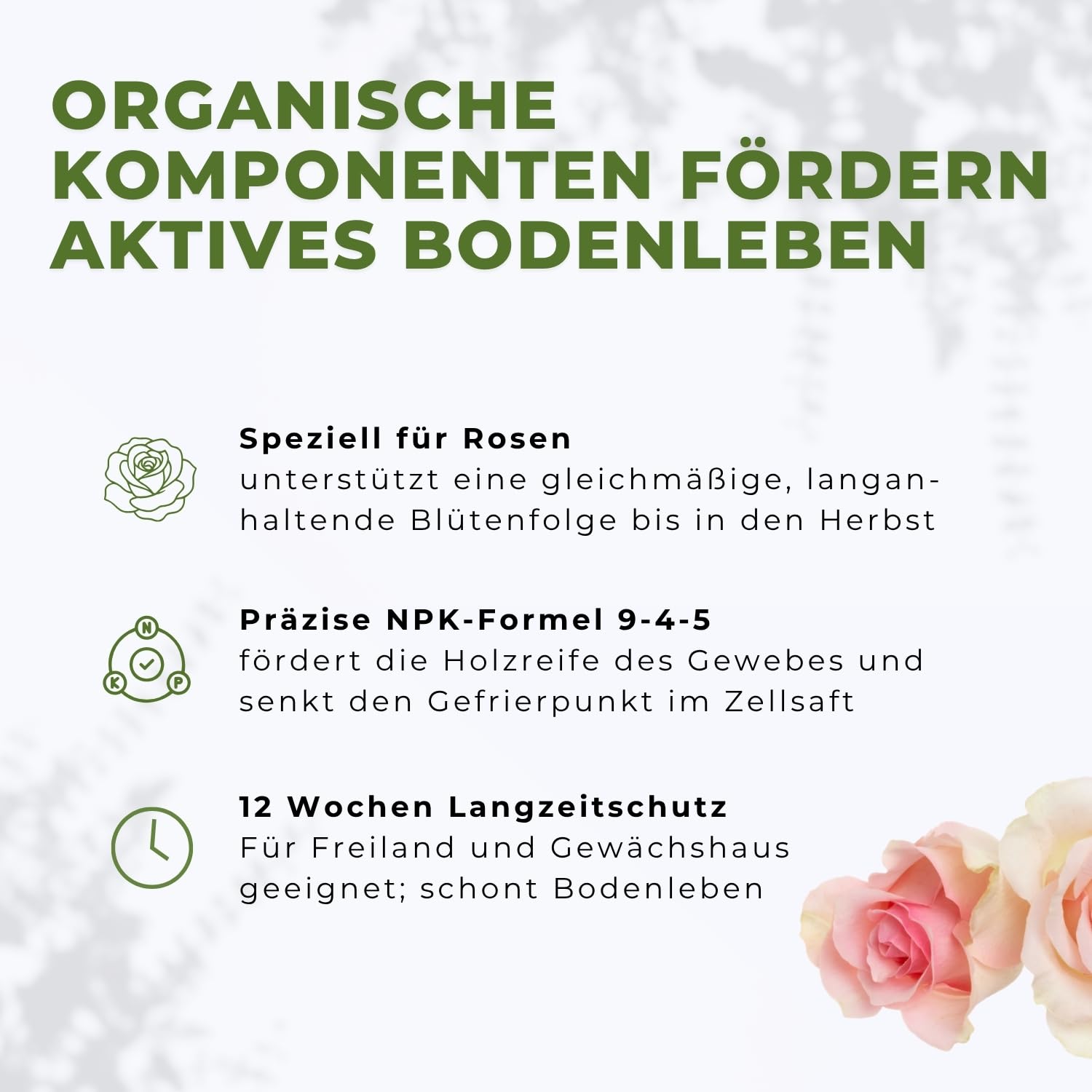 Flora Boost PRO Rosen Dünger 5 kg I Langzeitdünger für Edel-, Beet-, Kletter- & Strauchrosen I Granulat für üppige Blüten, kräftiges Wachstum & gesunde Rosen