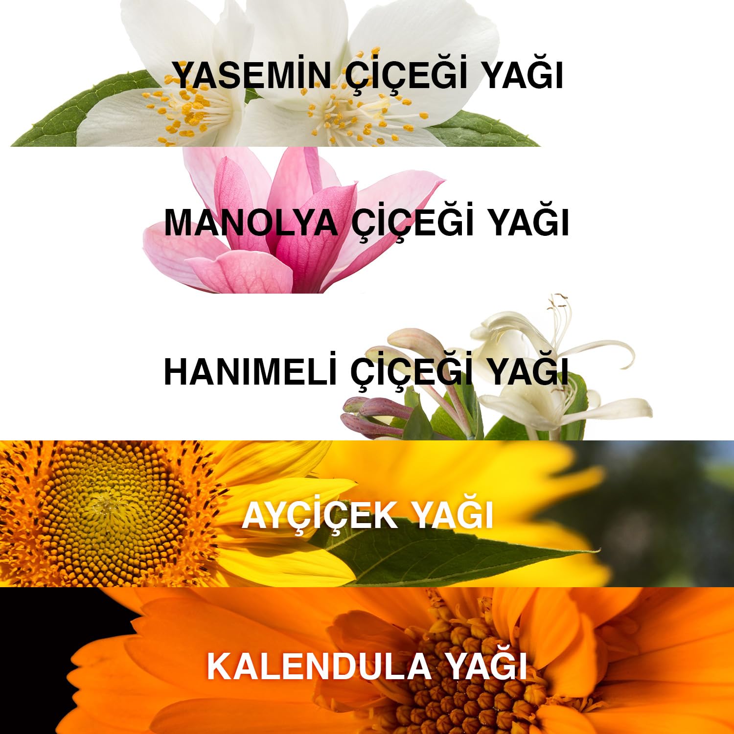 Bioxcin Gold On Skin Kuru Yağ – Yasemin, Manolya, Hanımeli, Kalendula ve Hindistan Cevizi Yağları İçeren Işıltı Veren Nemlendirici – 100 ml – Tüm Cilt Tipleri İçin