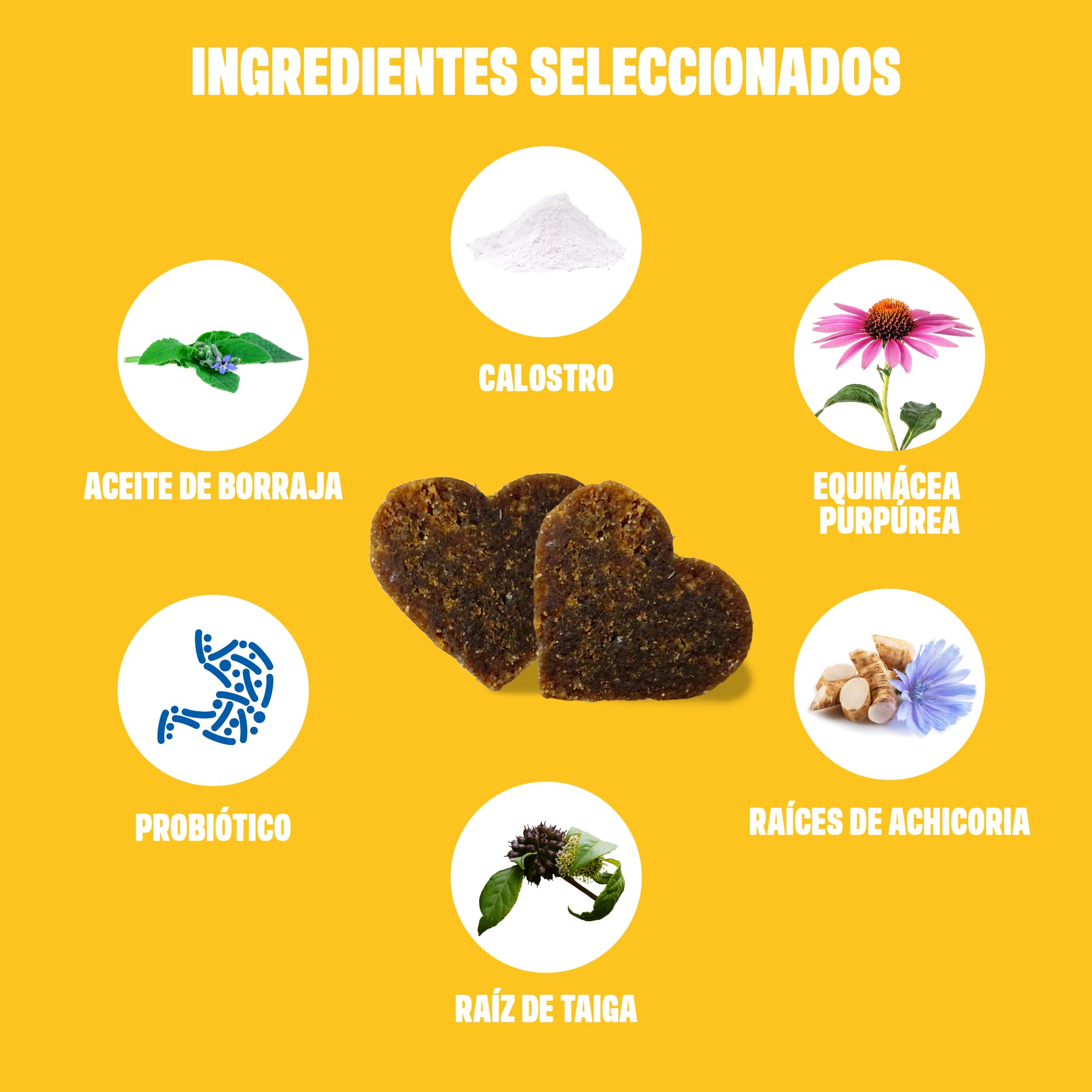 ivvi Allergy para Perros contra alergias y picazón para un Sistema inmunológico Saludable - con calostro, Equinácea Purpúrea, raíz de Taiga y Aceite de borraja - 60 Snacks (270g) con Sabor a salmón