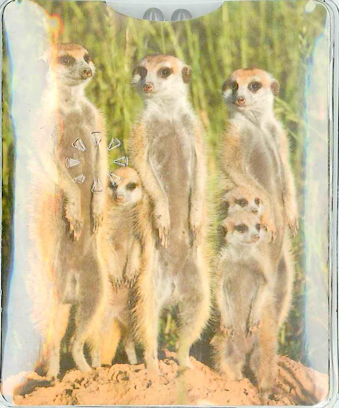 Mi Torch Meerkats Handy Handbag Purse Flashlight MT122