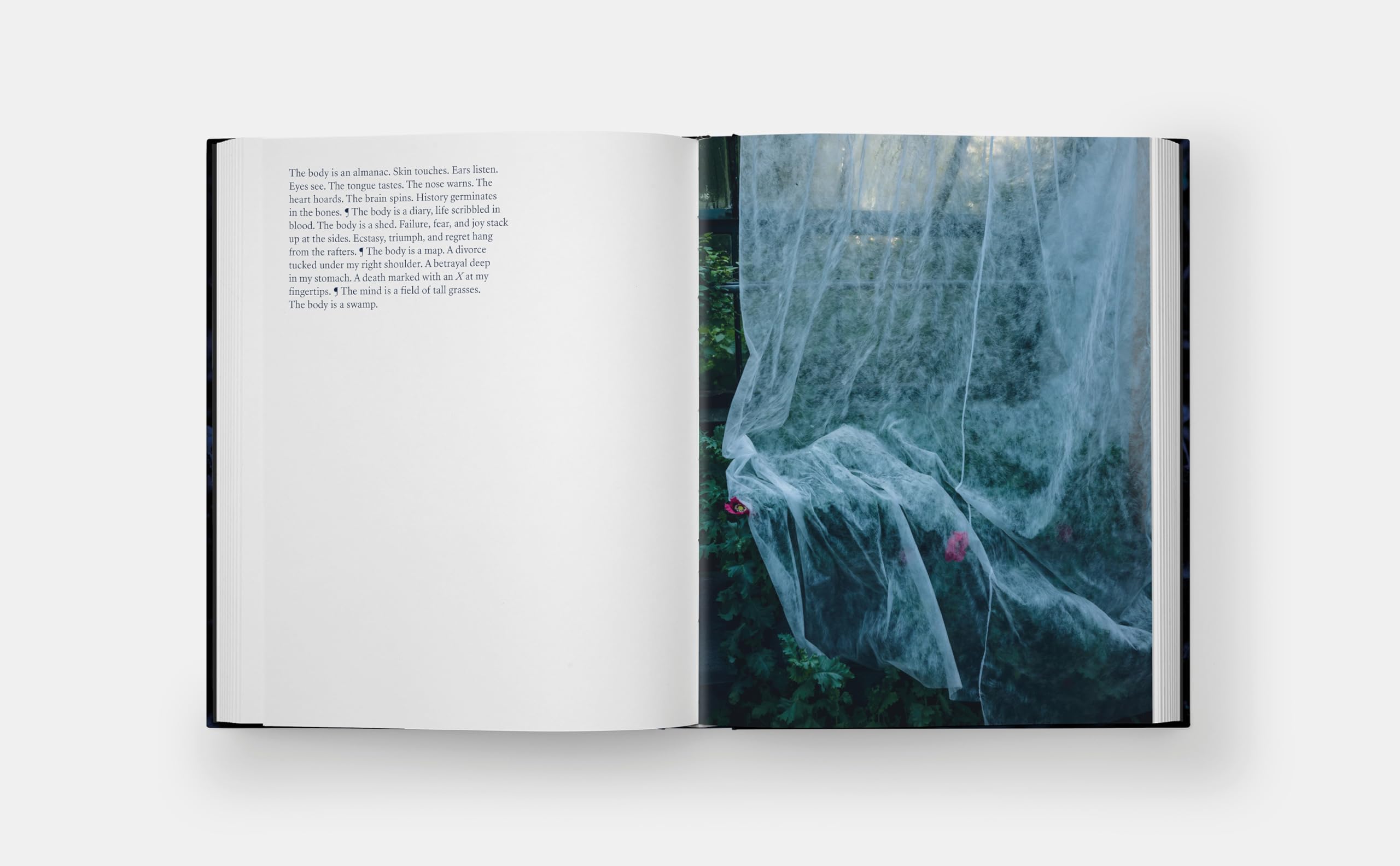 Blue Violet (The Monacelli Press)