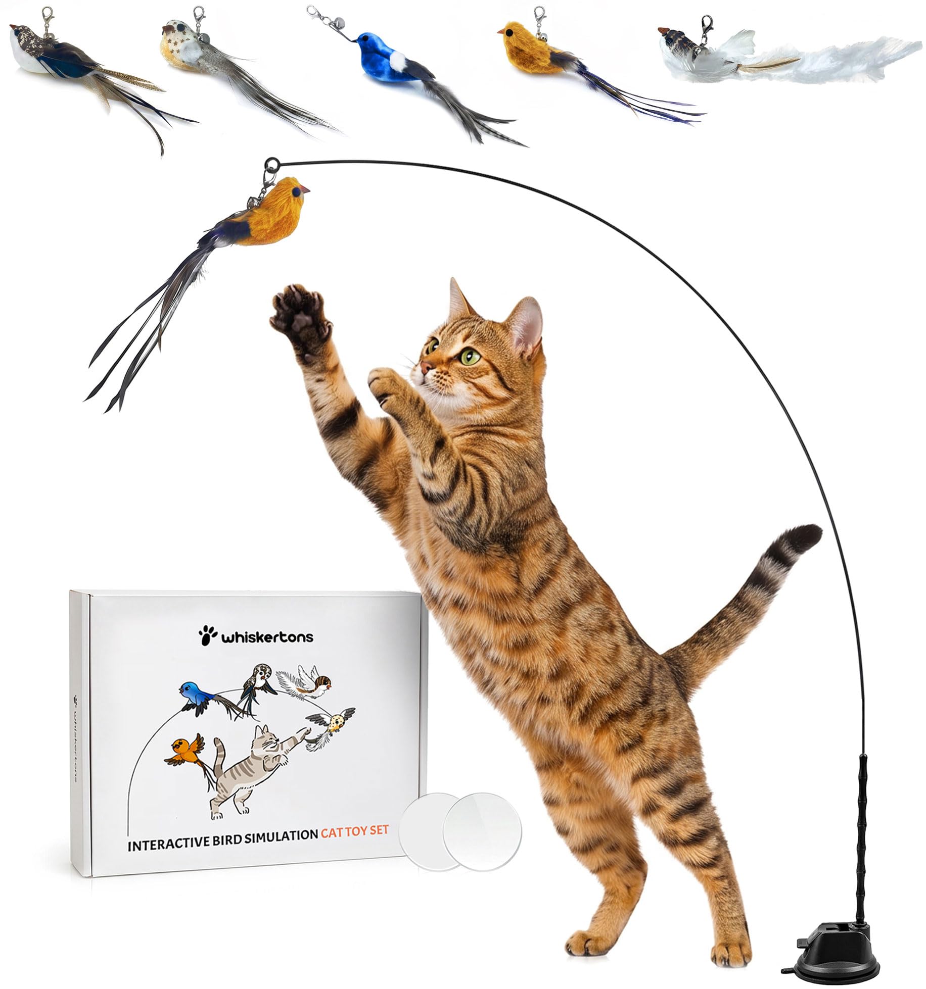 Whiskertons Bird Sim 5-Pack