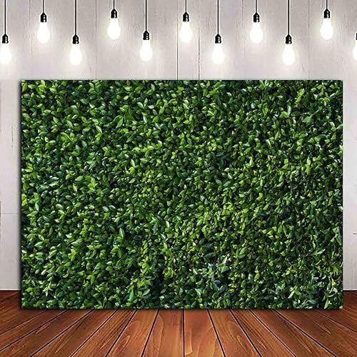 Miniatura 3 de HQM Fondo de fotos con temática de primavera de hojas verdes, 8 x 6 pies, boda, fiesta de cumpleaños, baby shower, fotografía, telón de fondo,