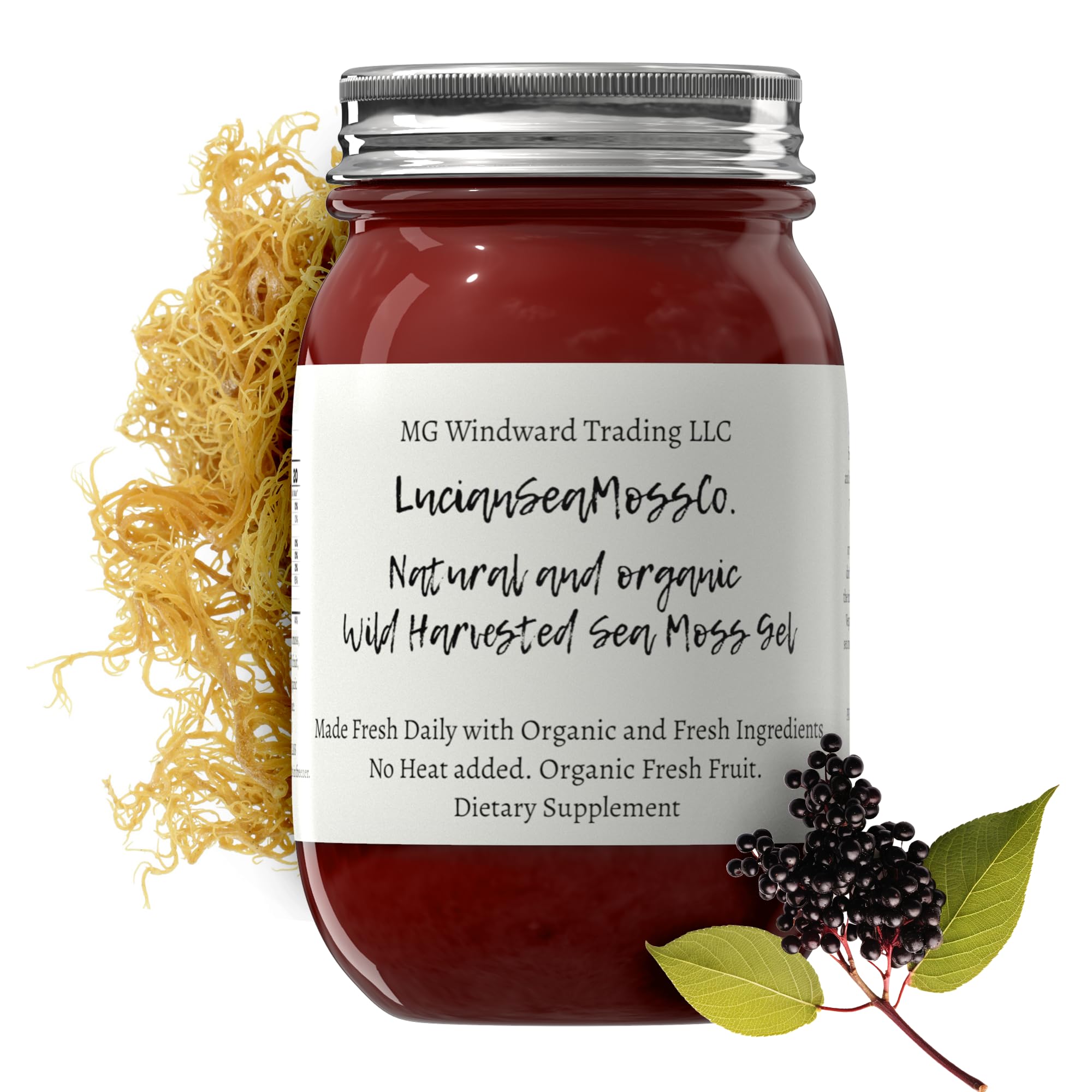 Elderberry Ginger Cinnamon Certified Wild Harvested Organic Sea Moss Gel | Made Fresh to Order | Rich in Vitamins & Minerals | Nutritional Supplement | 16oz Elderberry Ginger Cinnamon