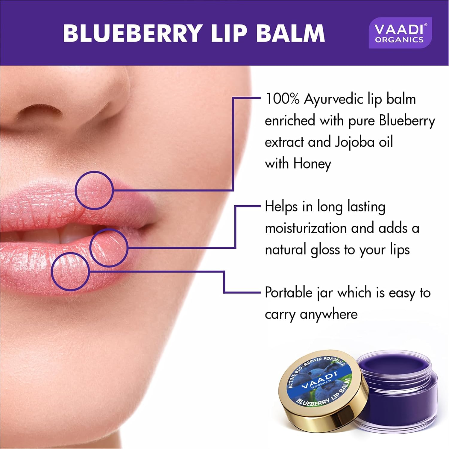 Vaadi Herbals Value Lip Balm, Blueberry, 4 x 10g
