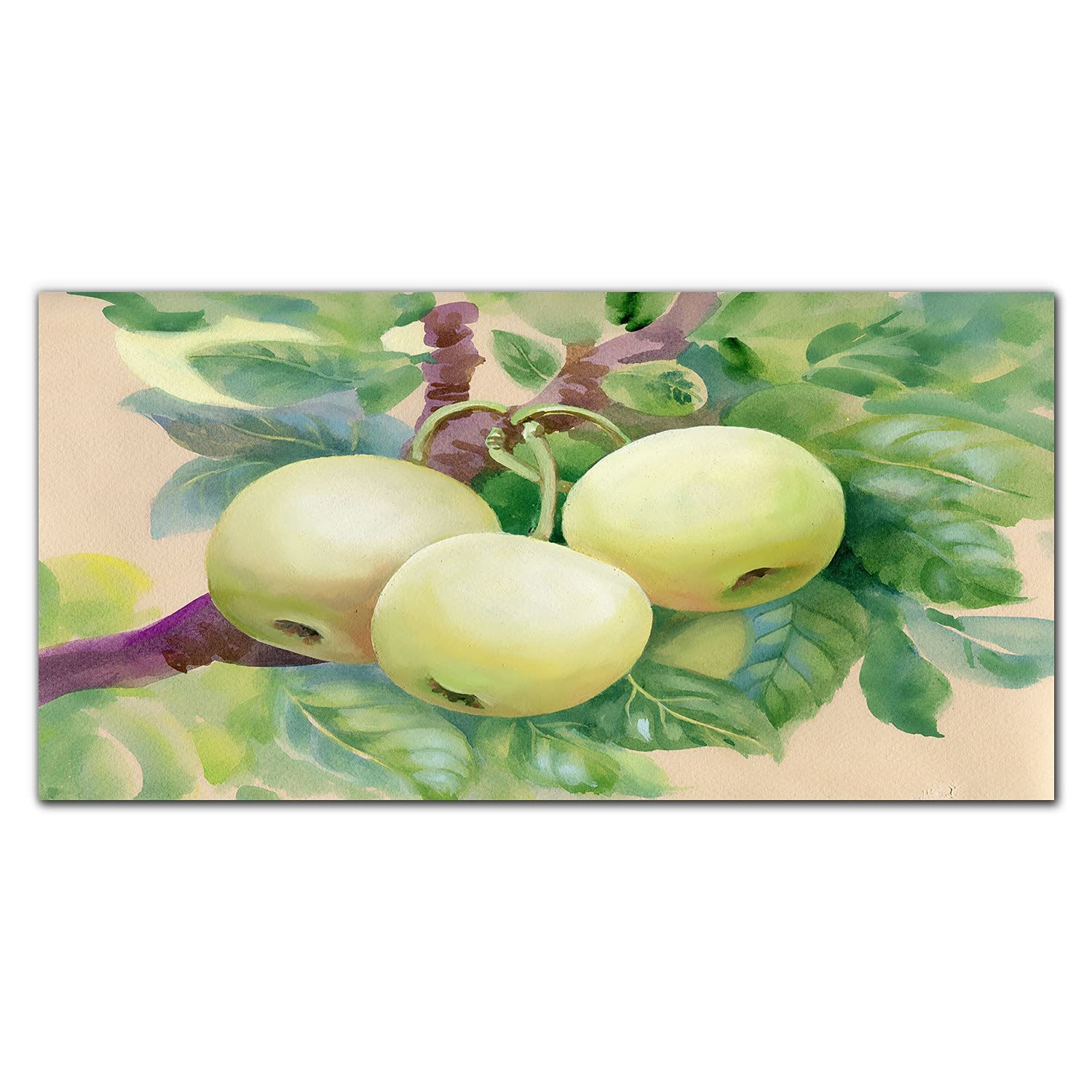 Crédence de cuisine en verre trempé 100x50 cm motif pomme - Coloray