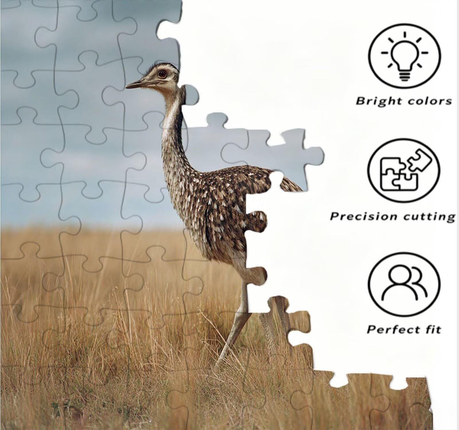 Puzzle 3000 Teile Erwachsene, StraußVogel Wiese Puzzle Herausfordernde Familie Aktivität Spiele, Geschicklichkeitsspiele Erwachsene, Herausfordernde Puzzles Geschenk für Freunde R2KH-865