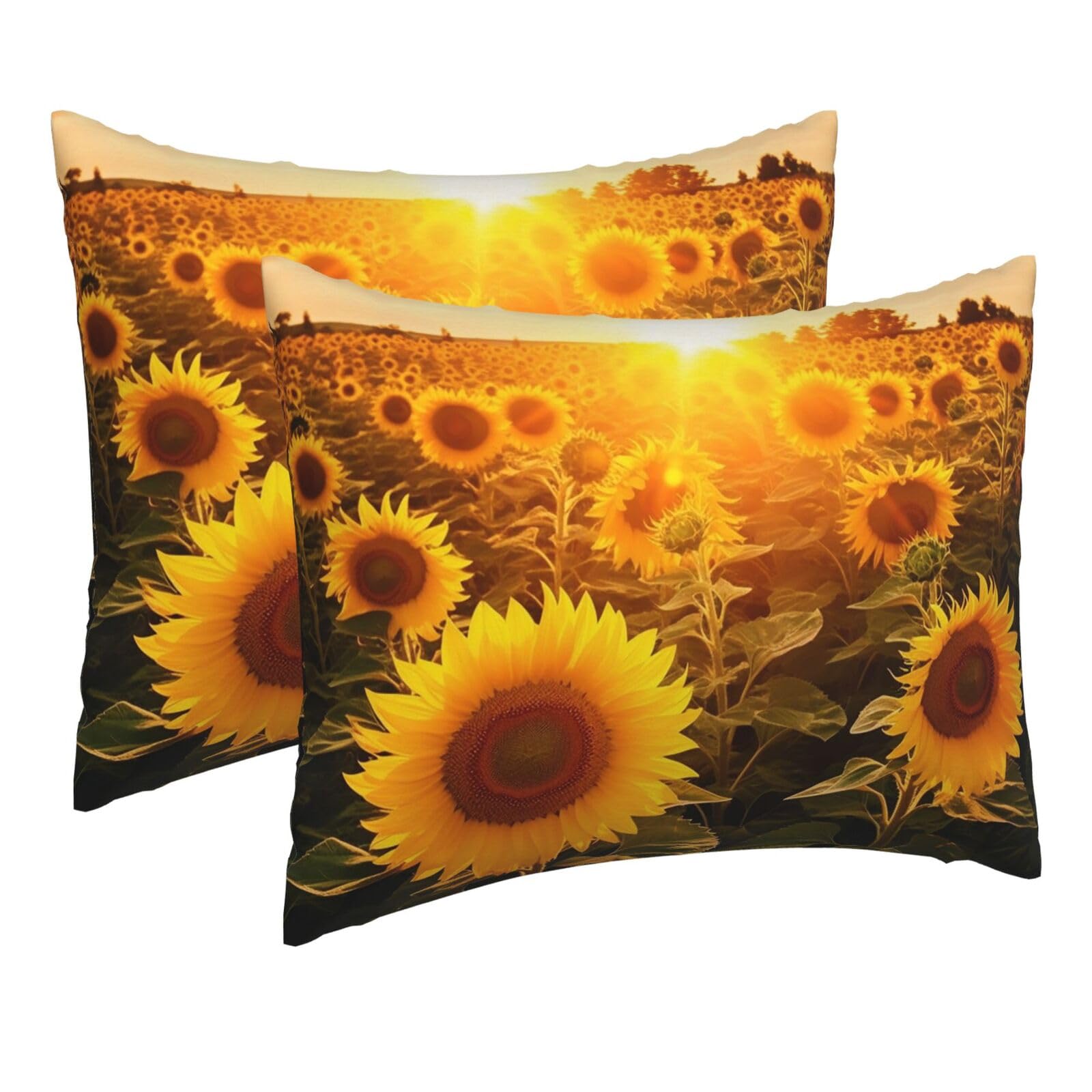 2 Pack Pillow Cases with Hidden Zipper, Soft Breathable Pillow Covers for Hair and Skin, Sunshine Sunflower Field Pillowcases 16"x20" Bed Pillow Protectors Cover for Sleeping Gifts