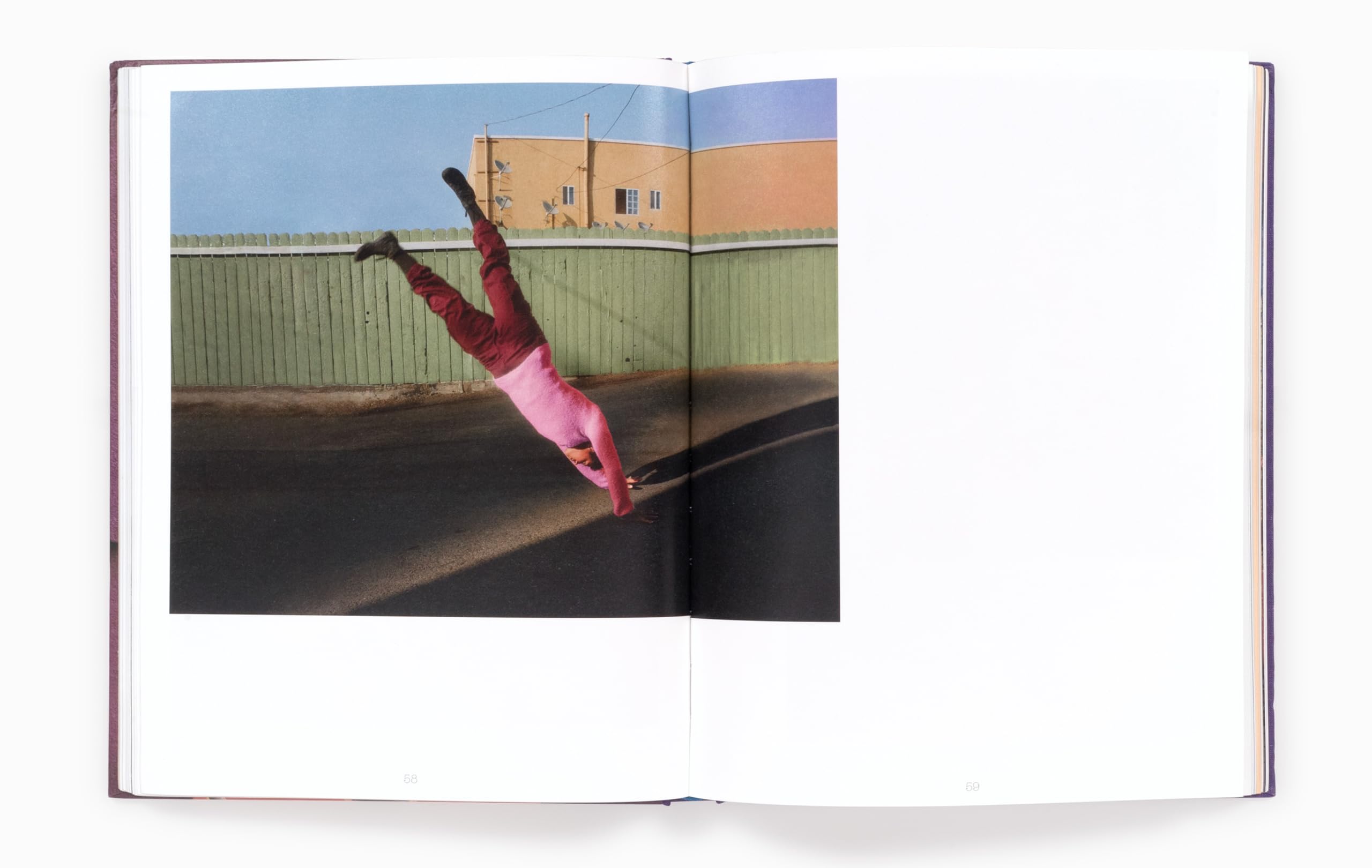 Arielle Bobb-Willis Keep the Kid Alive /anglais