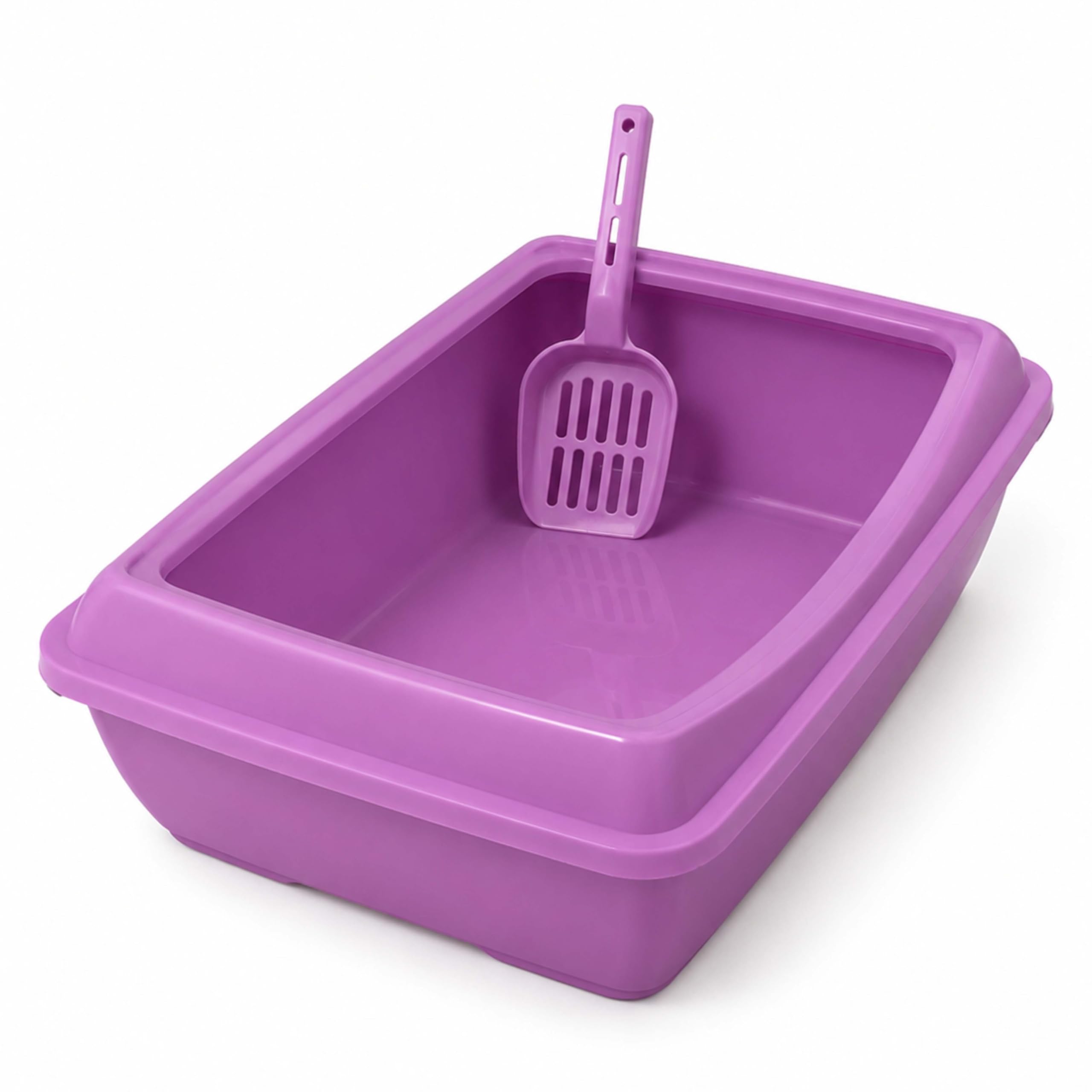 DIVCHI Cat Litter Tray with Scoop Spacious Open Design Litter Box with Removable Rim for Indoor and Odour Cats, Non Stick Plastic Catsan Surface Easy to Clean Toilet Box (Purple)