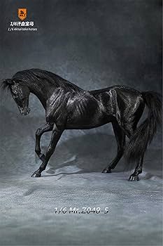 Mr.Z 1/6 汗血馬 6種 動物 置物 フィギュア 001 フィギュア専門店 -ソダチトイズ / Mr.Z 1/6 汗血馬 5種 動物
