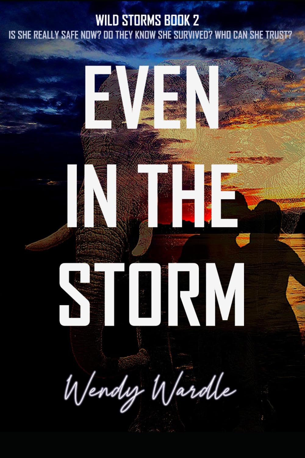 Even in the Storm: Wild Storms Book 2