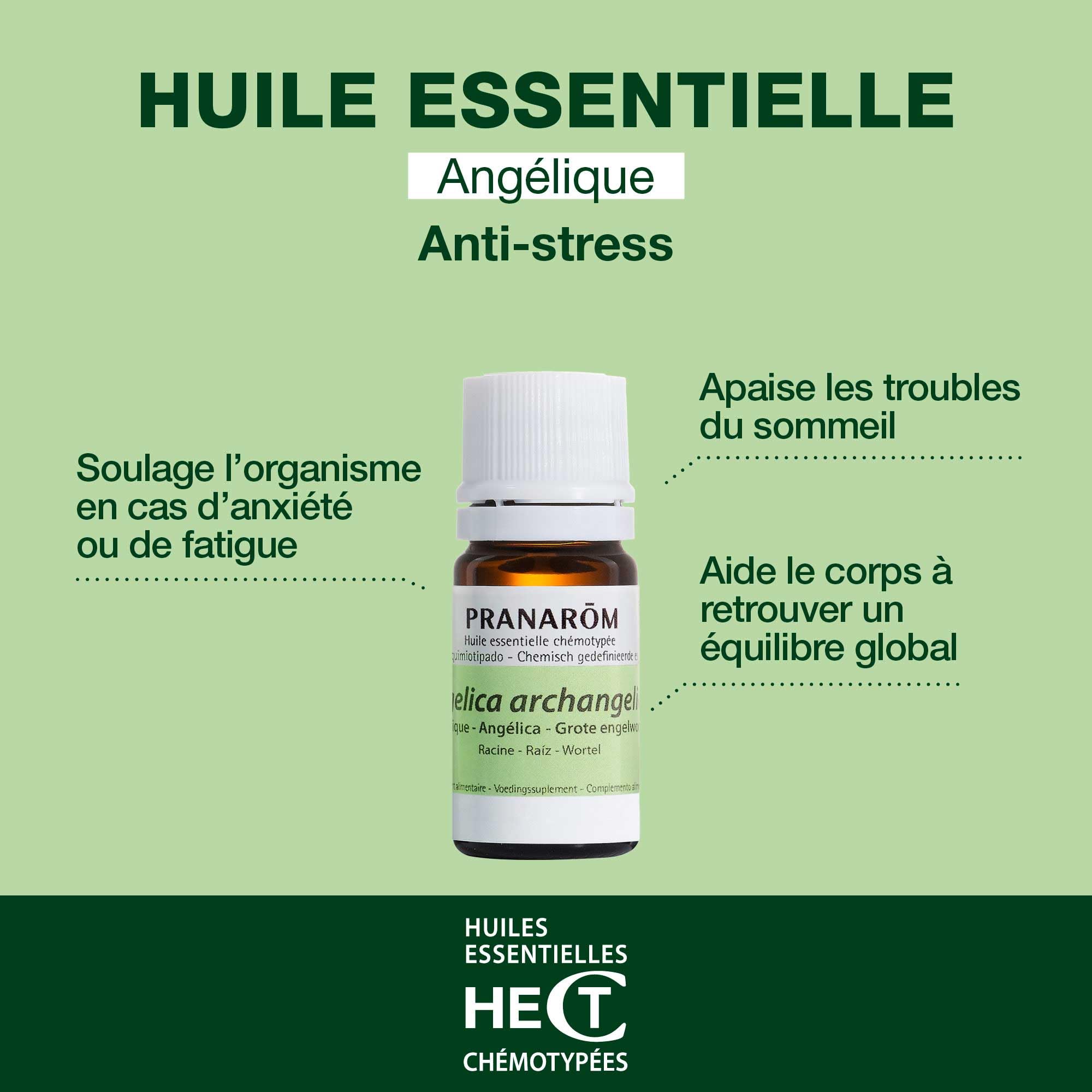 PRANAROMACEITES angelica olejek eteryczny do codziennego stosowania 5ml