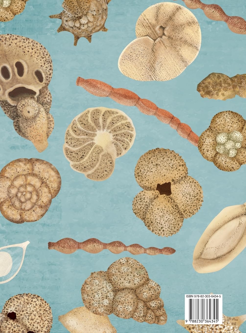 Little Creatures of the Sea - Book about Foraminifera: Book about Foraminifera: 1